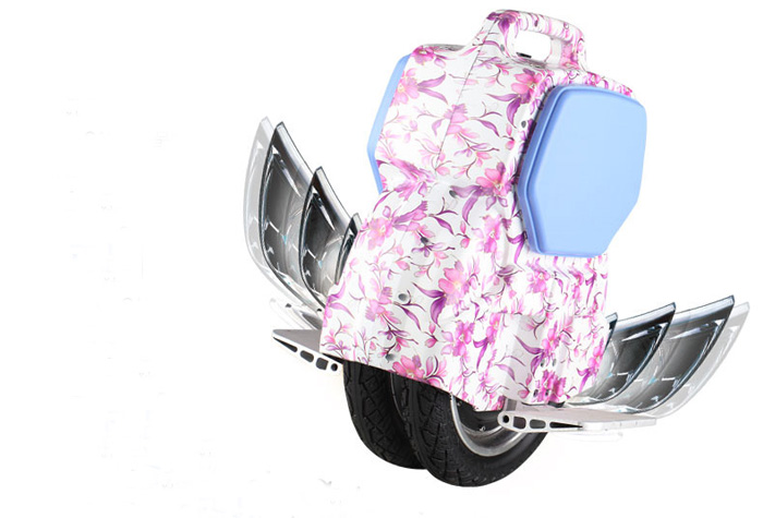 Saluko twin wheel electric unicycle