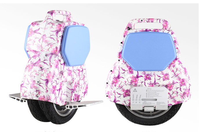 Saluko twin wheel electric unicycle